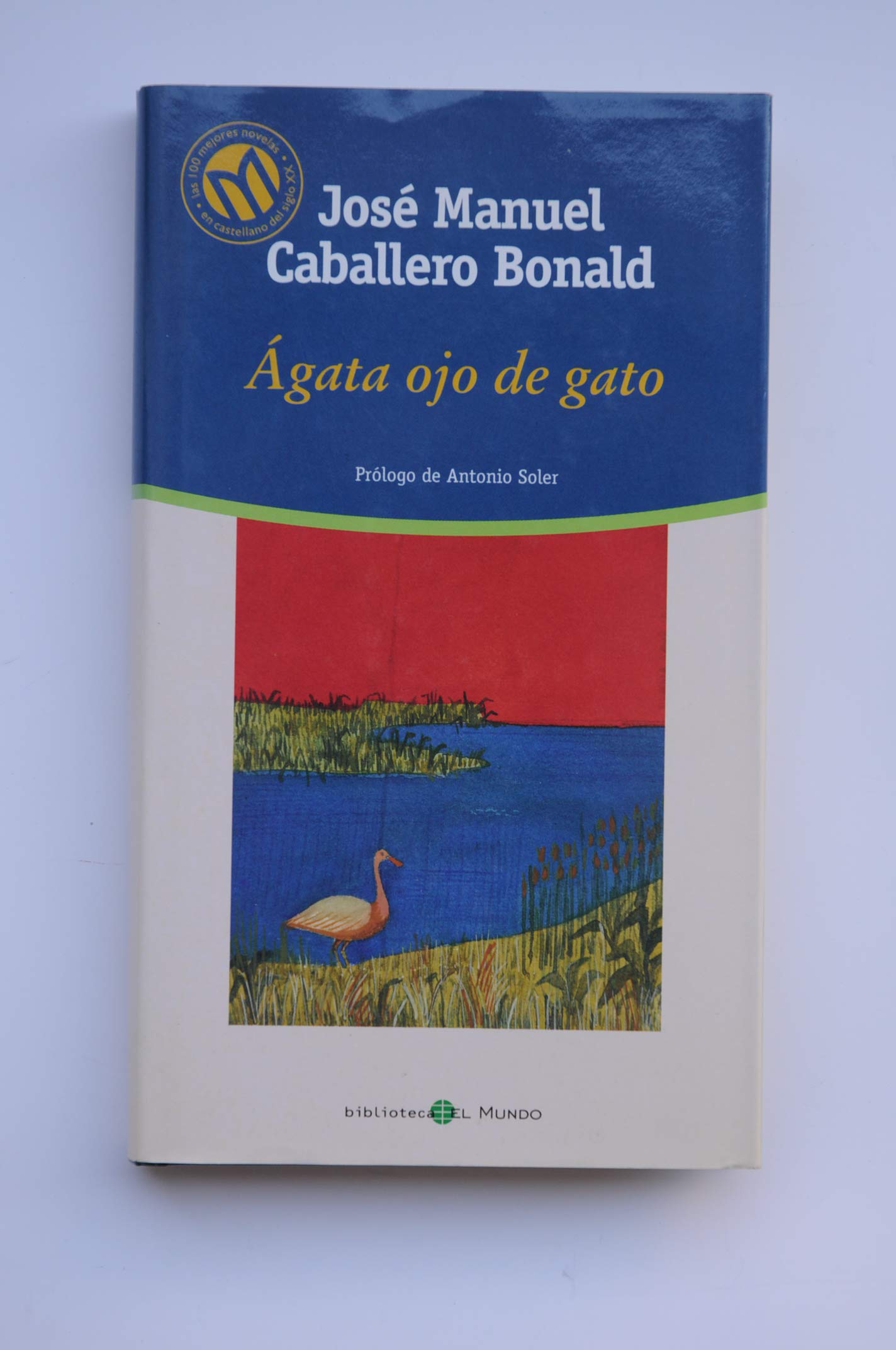 Ágata ojo de gato