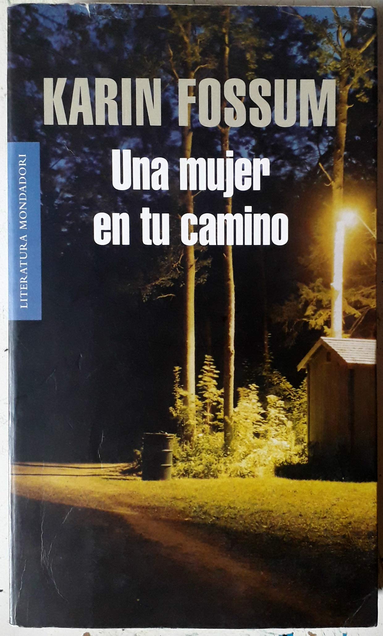 Una mujer en tu camino (Inspector Sejer 5)