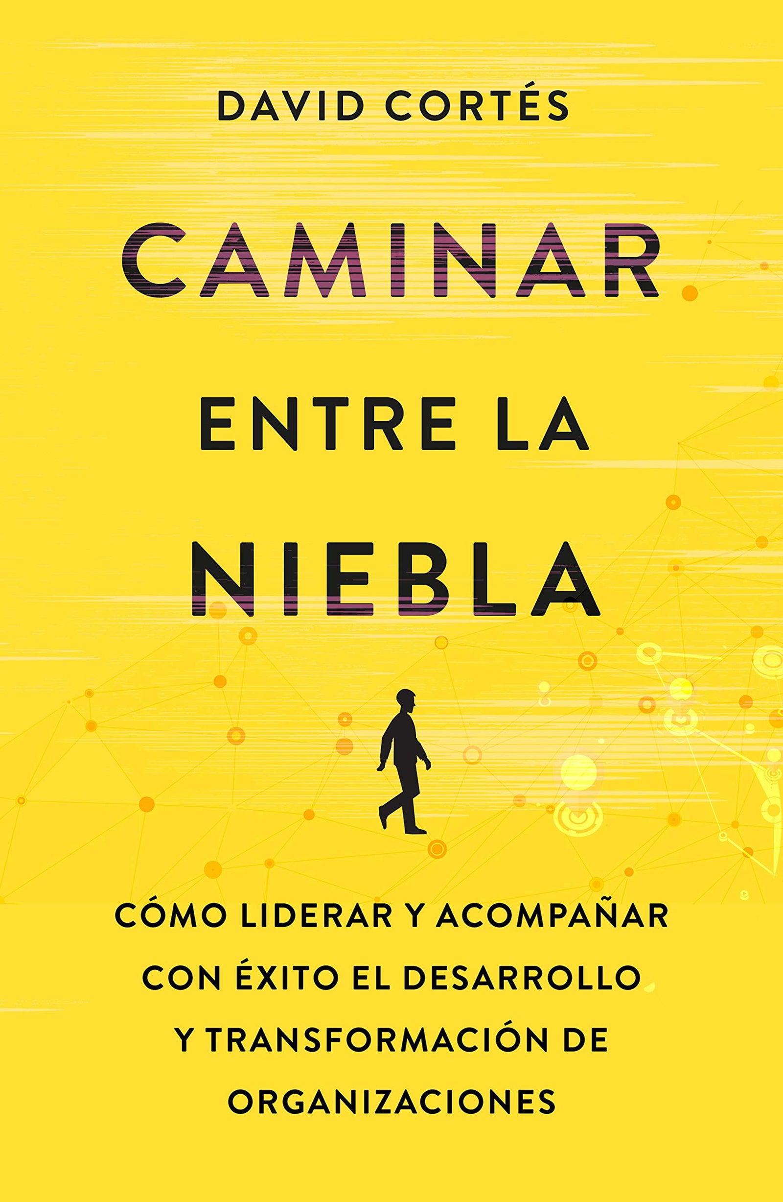 Caminar entre la niebla: Cómo liderar y acompañar con éxito el desarrollo y la transformación de organizaciones (Gestión 2000)