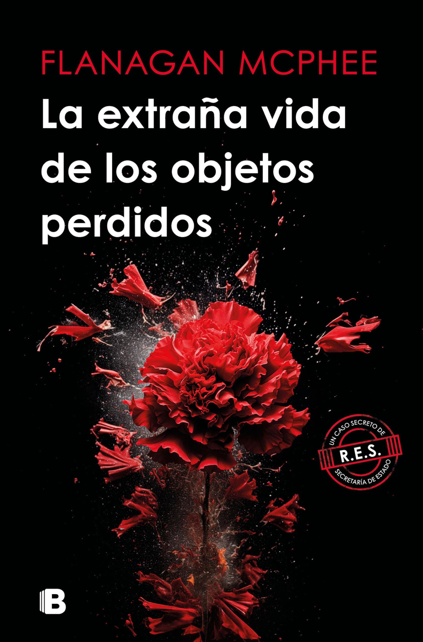 La extraña vida de los objetos perdidos (La Trama)