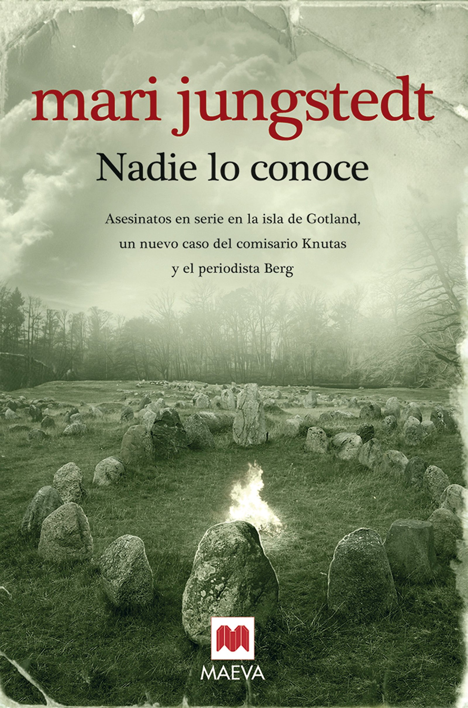 Nadie lo conoce (Serie Gotland 3): Asesinatos en serie en la isla de Gotland, un nuevo caso del comisario Knutas y el periodista Berg (MAEVA noir)