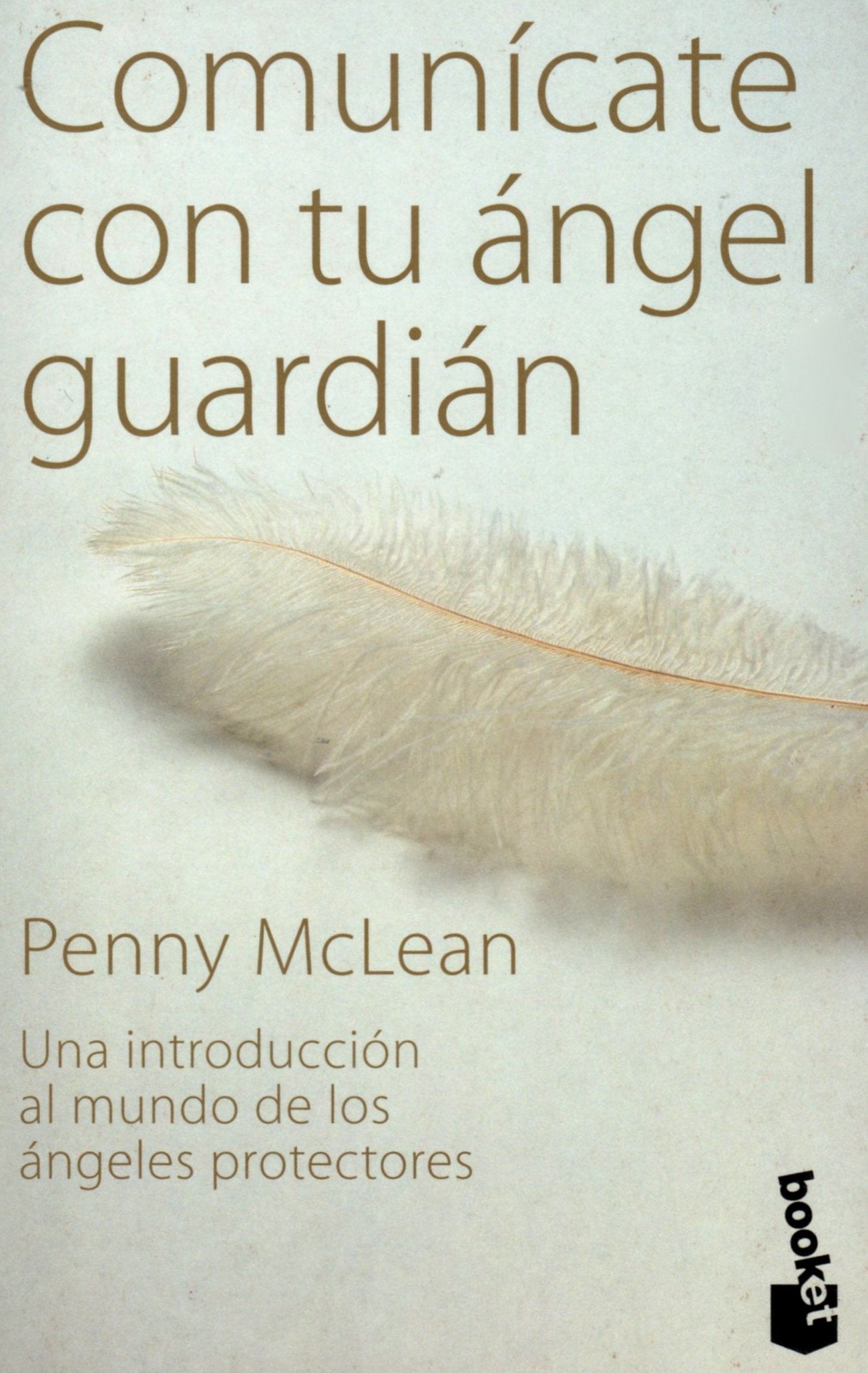 Comunicate Con Tu Angel Guardian