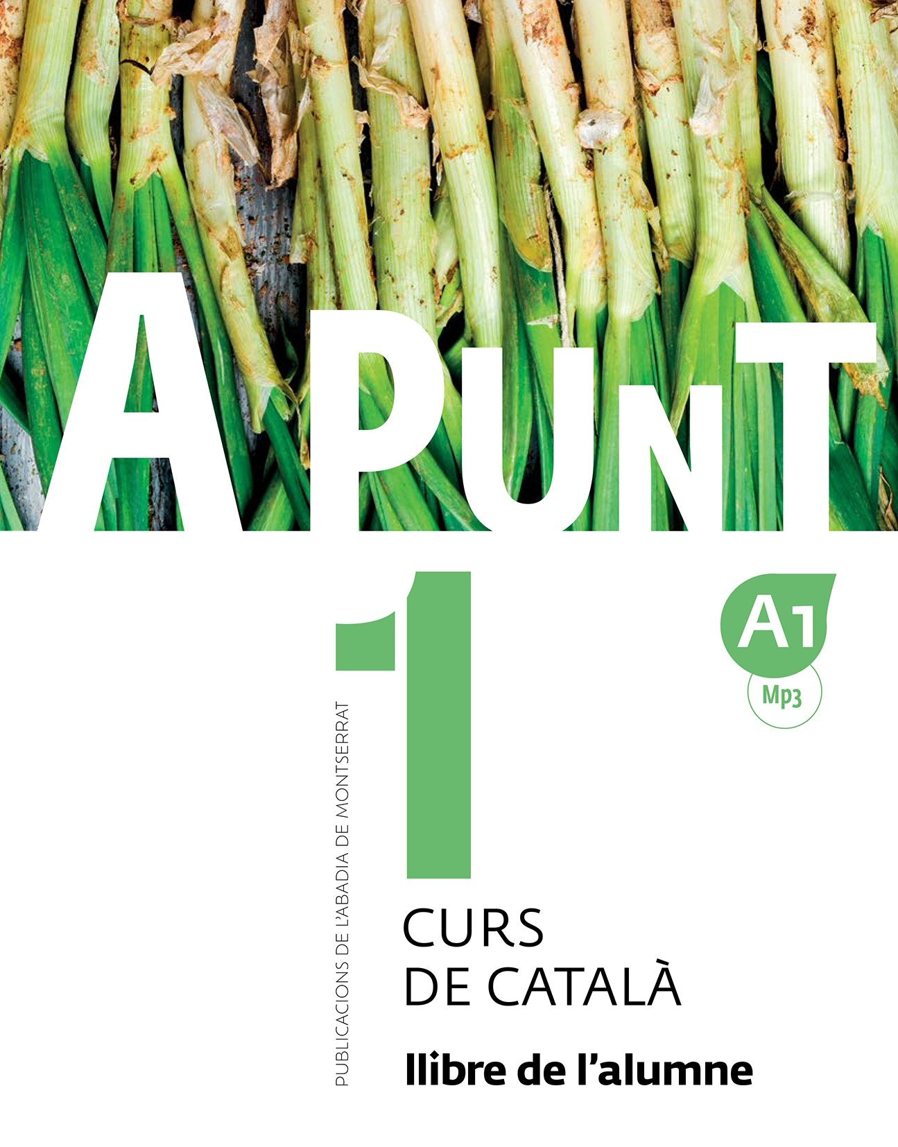 A Punt 1 Alumne Curs De Català