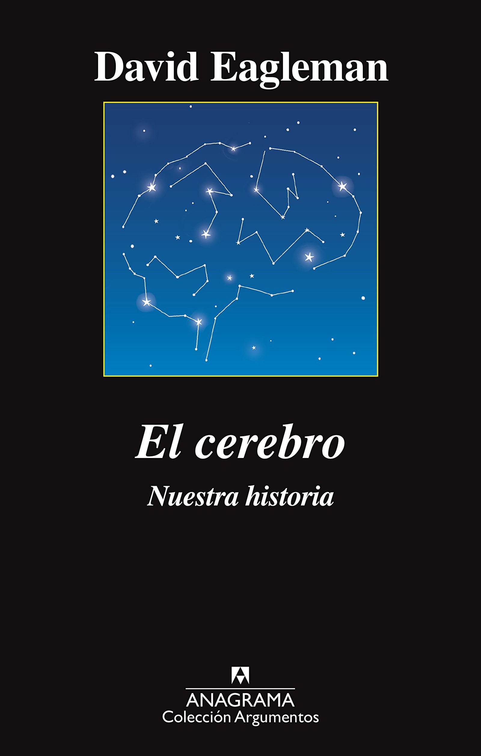El cerebro: 510 (Argumentos)