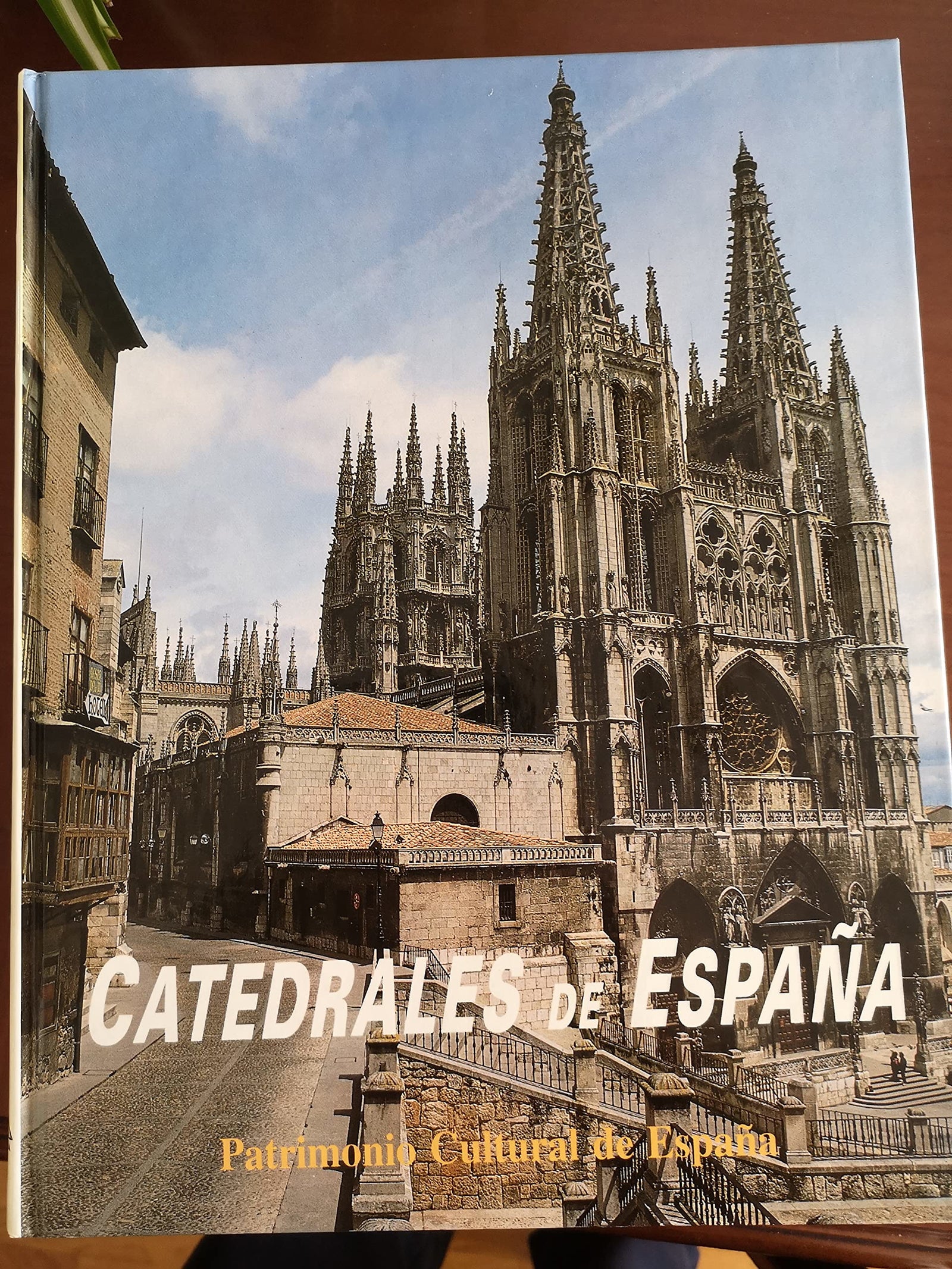 Catedrales de España (Patrimonio cultural de España)