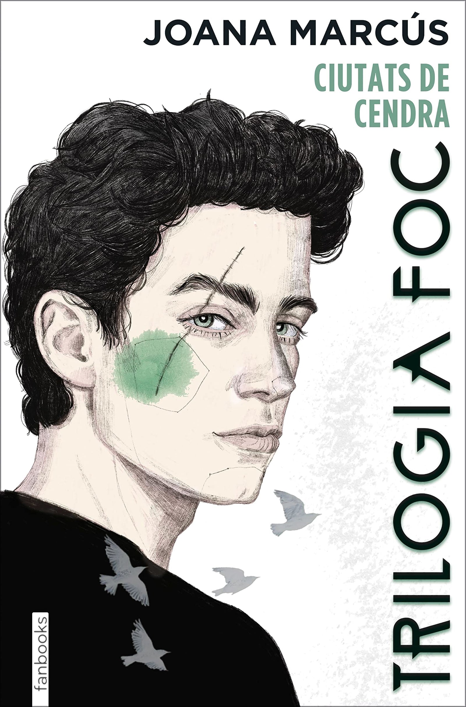 Trilogia Foc 2: Ciutats de cendra (Ficció romàntica)
