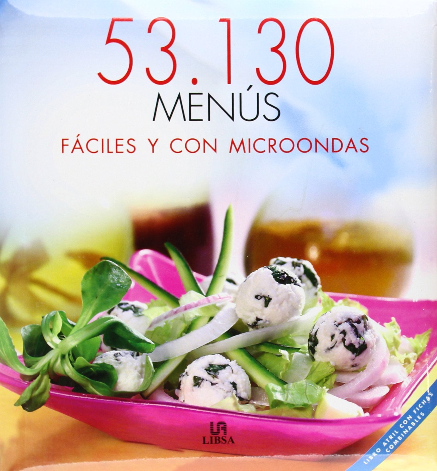 Menús Fáciles y con Microondas (53.130 Menús)