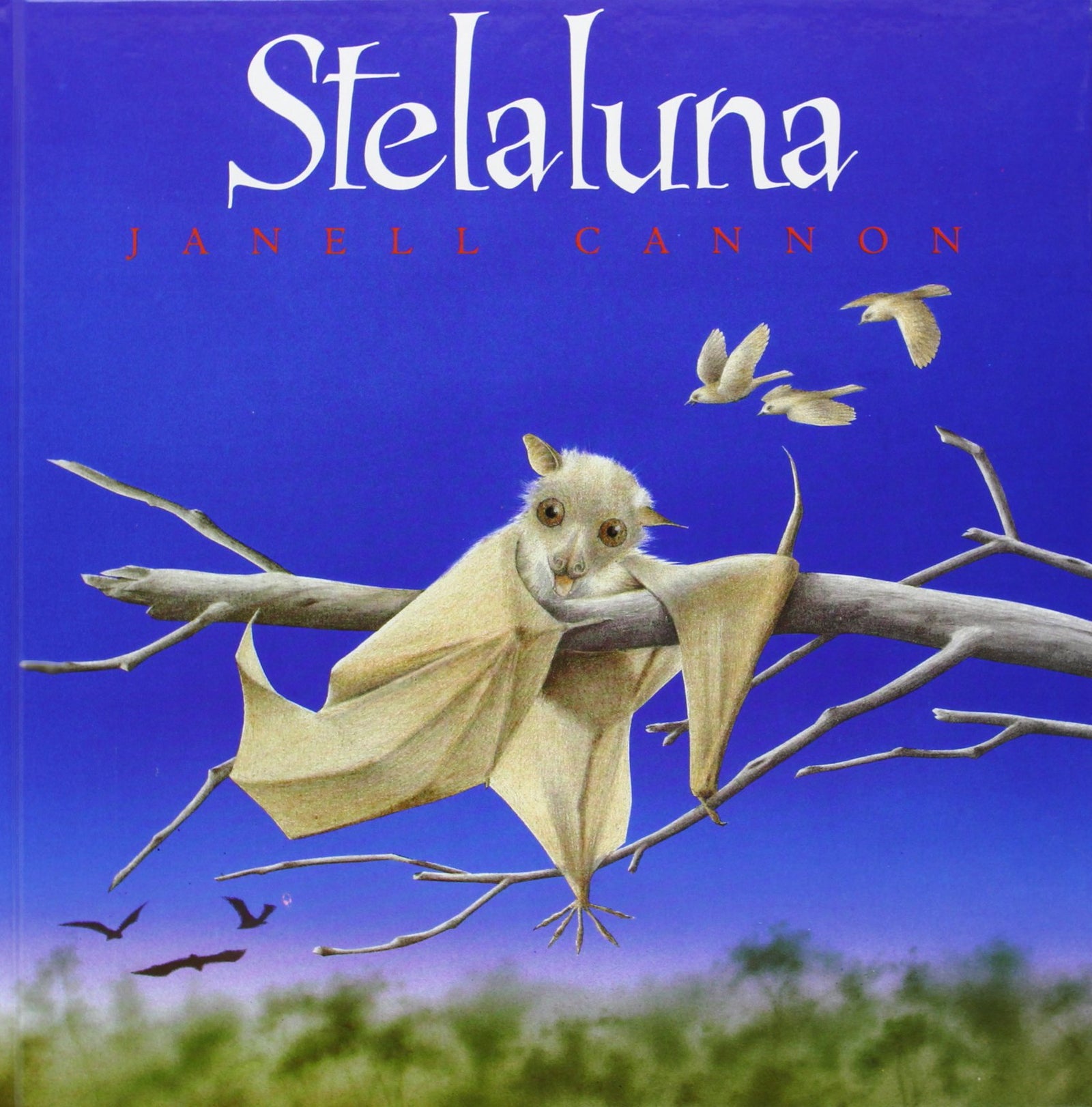 Stela luna/ Stellaluna