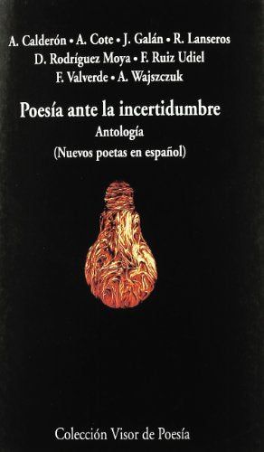 Poesía ante la incertidumbre: Antología (Nuevos poetas en español): 785 (Visor de Poesía)
