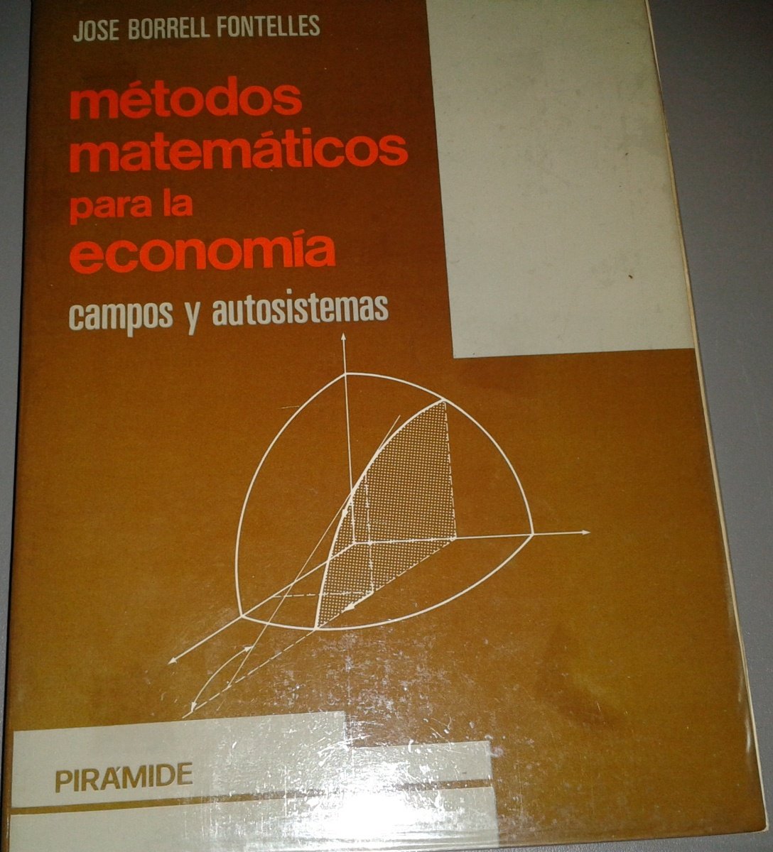 Metodos matematicos para la economia : Campos y autosistemas