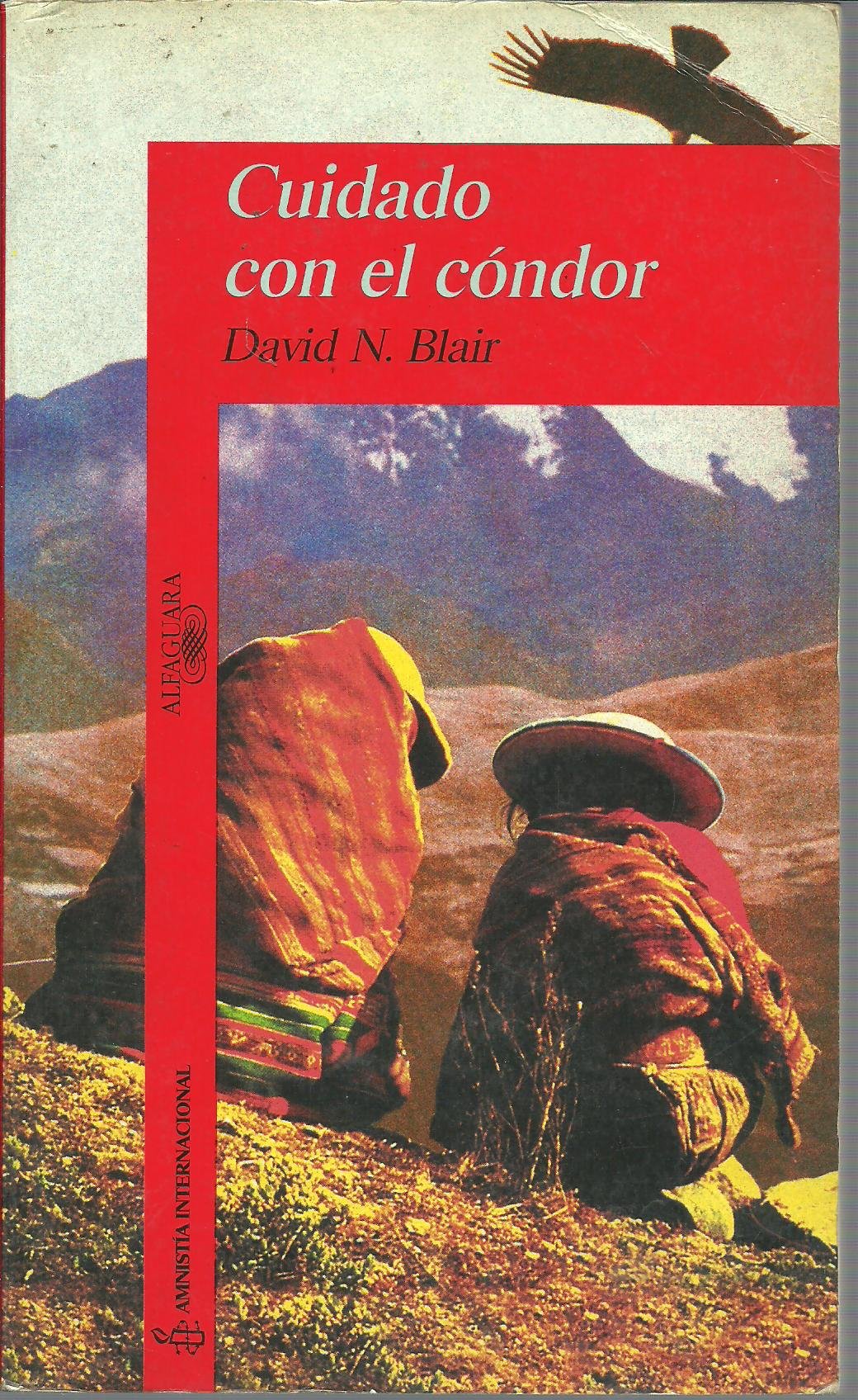 Cuidado con el condor (Alfaguara 14 Años (zaharra)