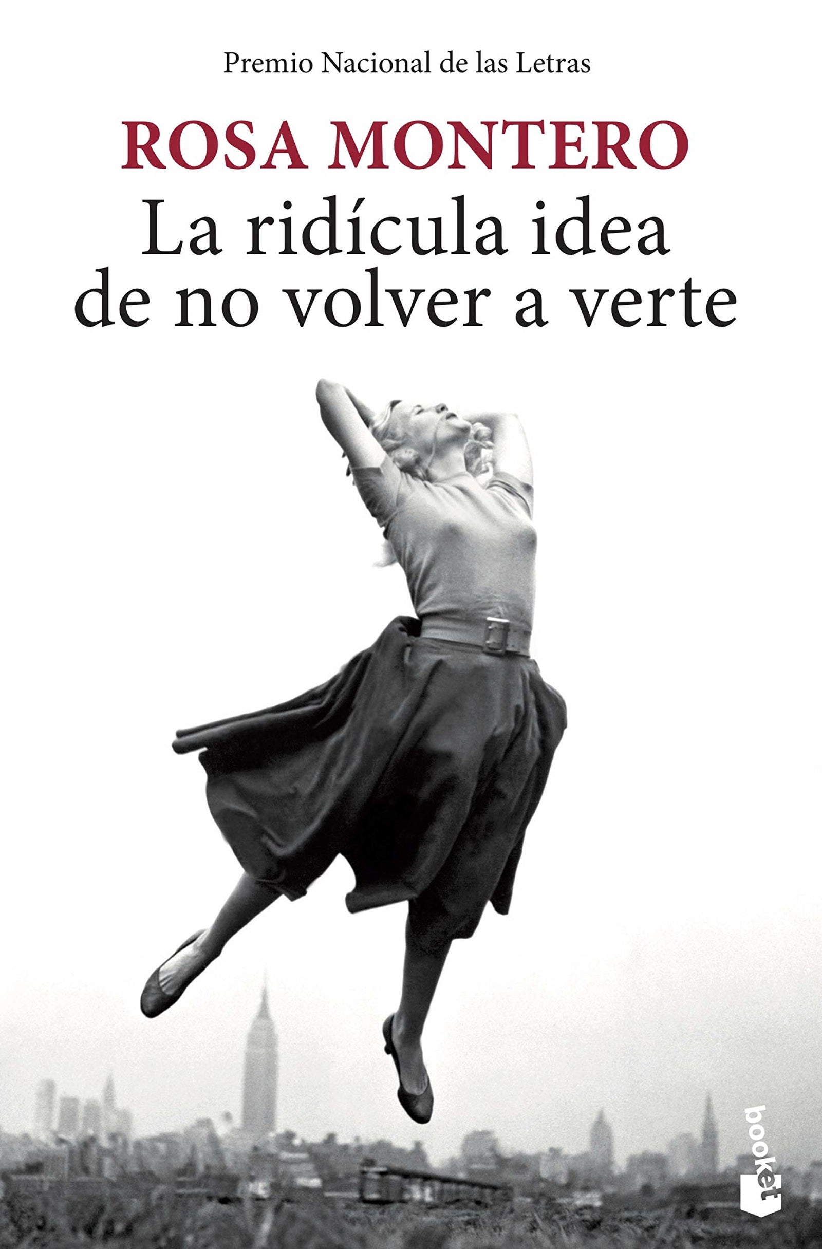 La ridícula idea de no volver a verte (Novela)