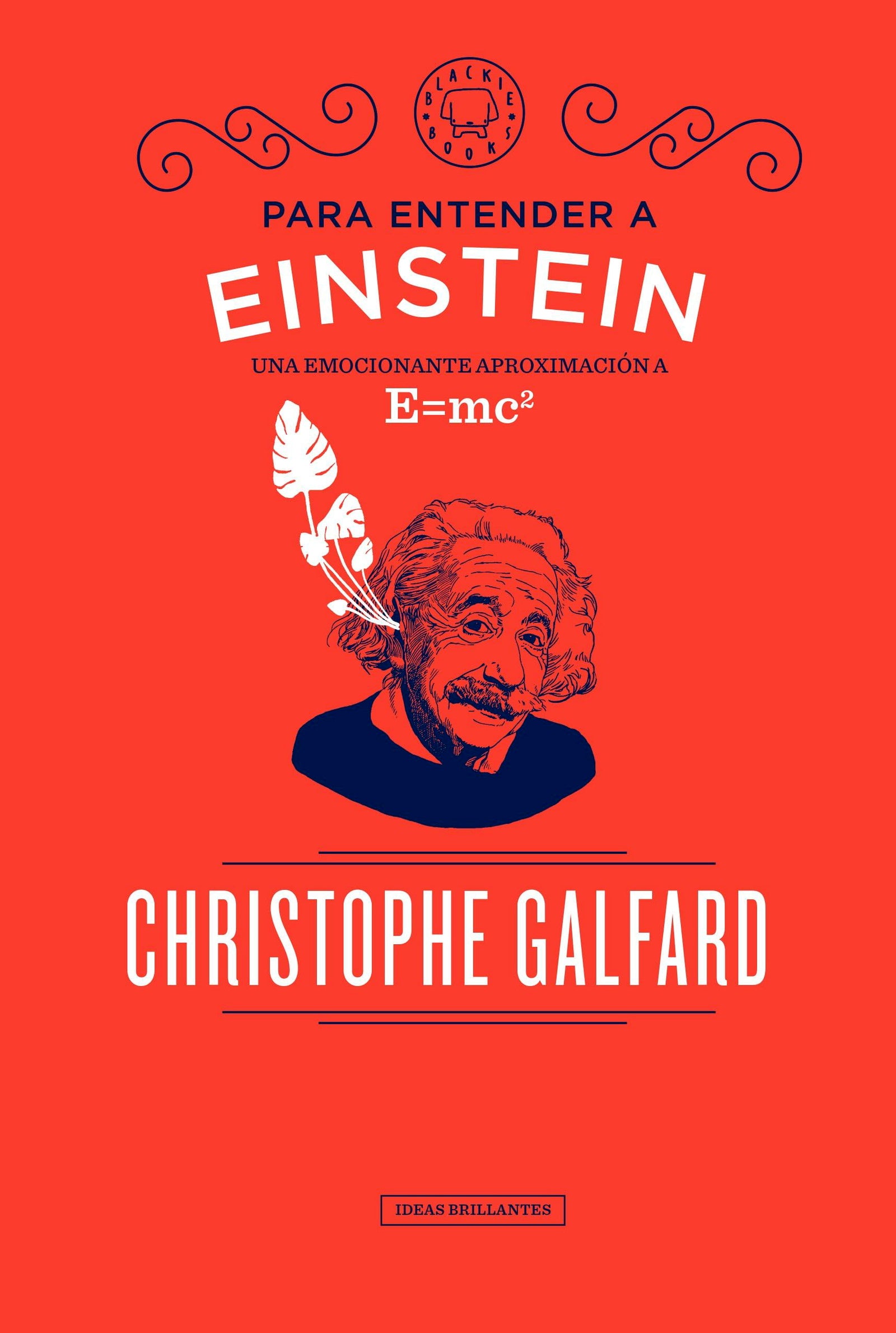 Para entender a Einstein: Una emocionante aproximación a E=mc2 (Colección Ideas Brillantes)
