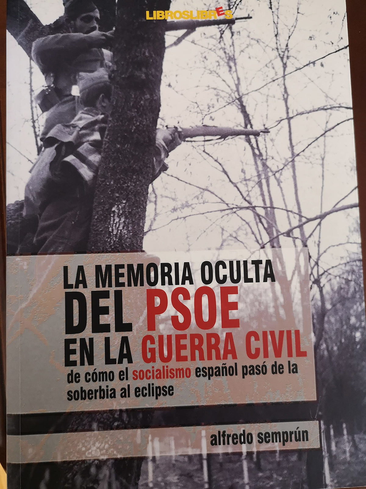 Memoria oculta del psoe en la Guerra civil, la