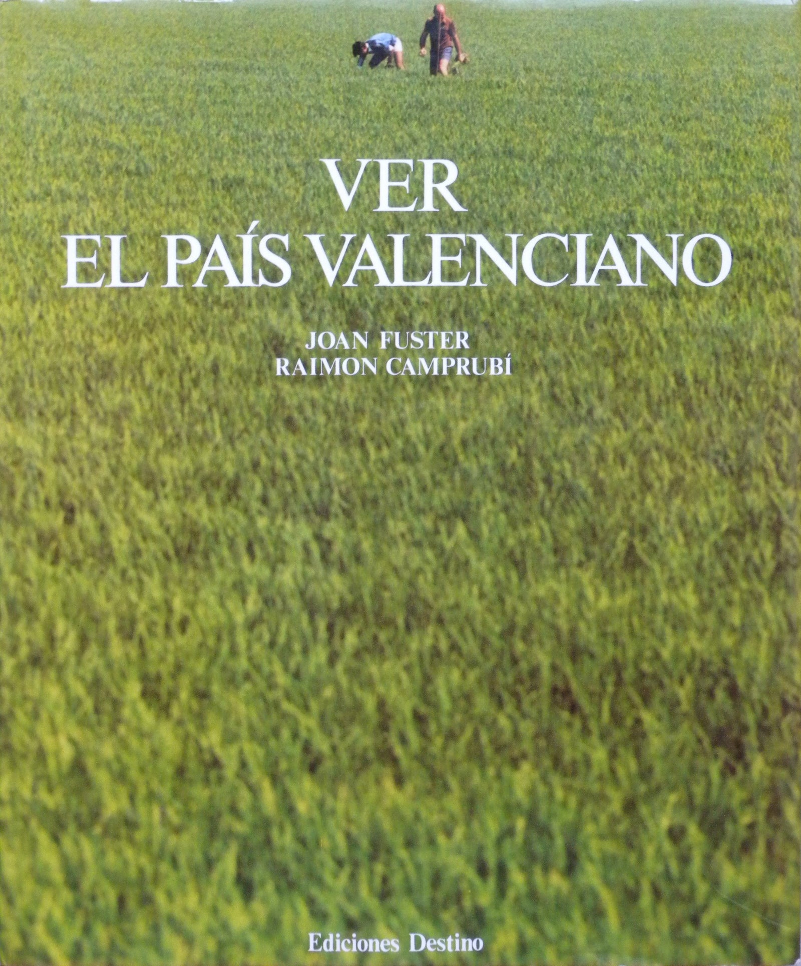 Ver el pais valenciano