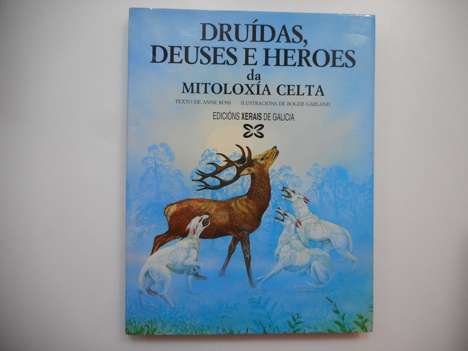 Druídas, deuses e heroes da mitoloxía celta