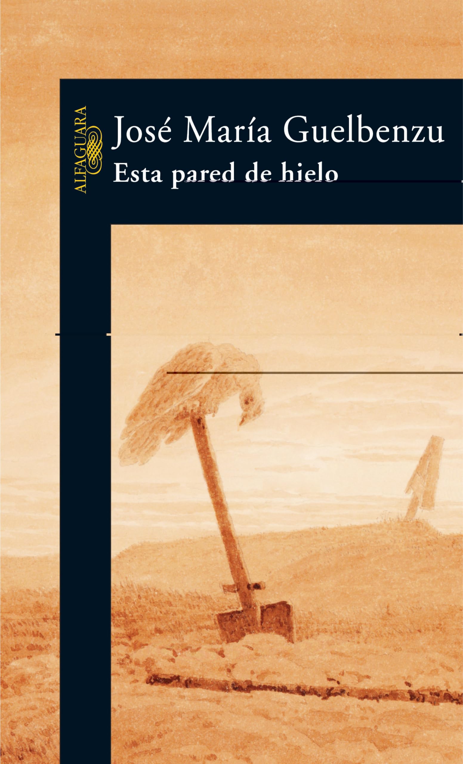 ESTA PARED DE HIELO (HISPANICA)