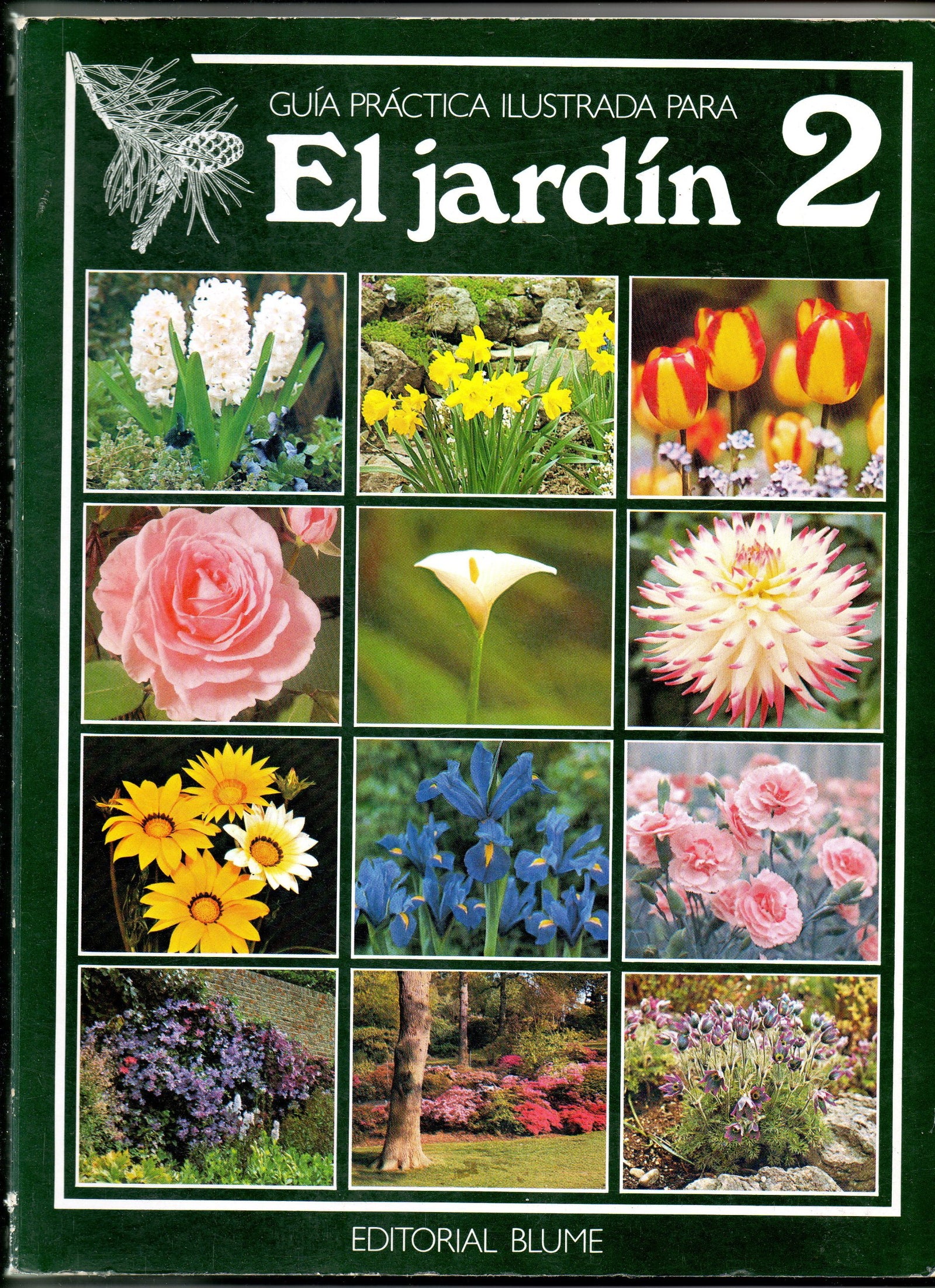 Biblioteca del jardin 2
