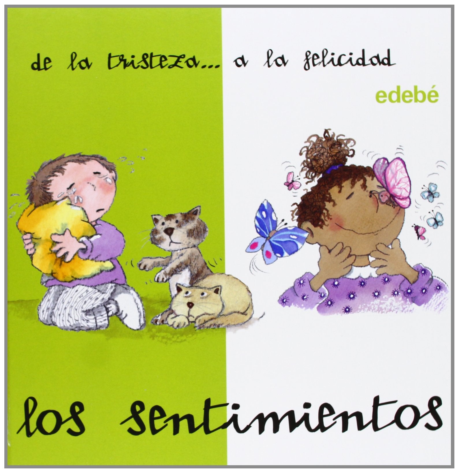 Sentimientos de la tristeza a la felicidad (DESDE... HASTA...)