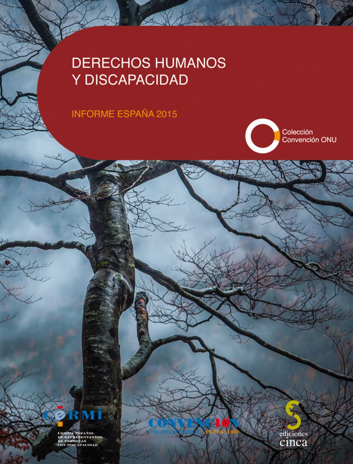 Derechos humanos y discapacidad: Informe España 2015 (Convención ONU)