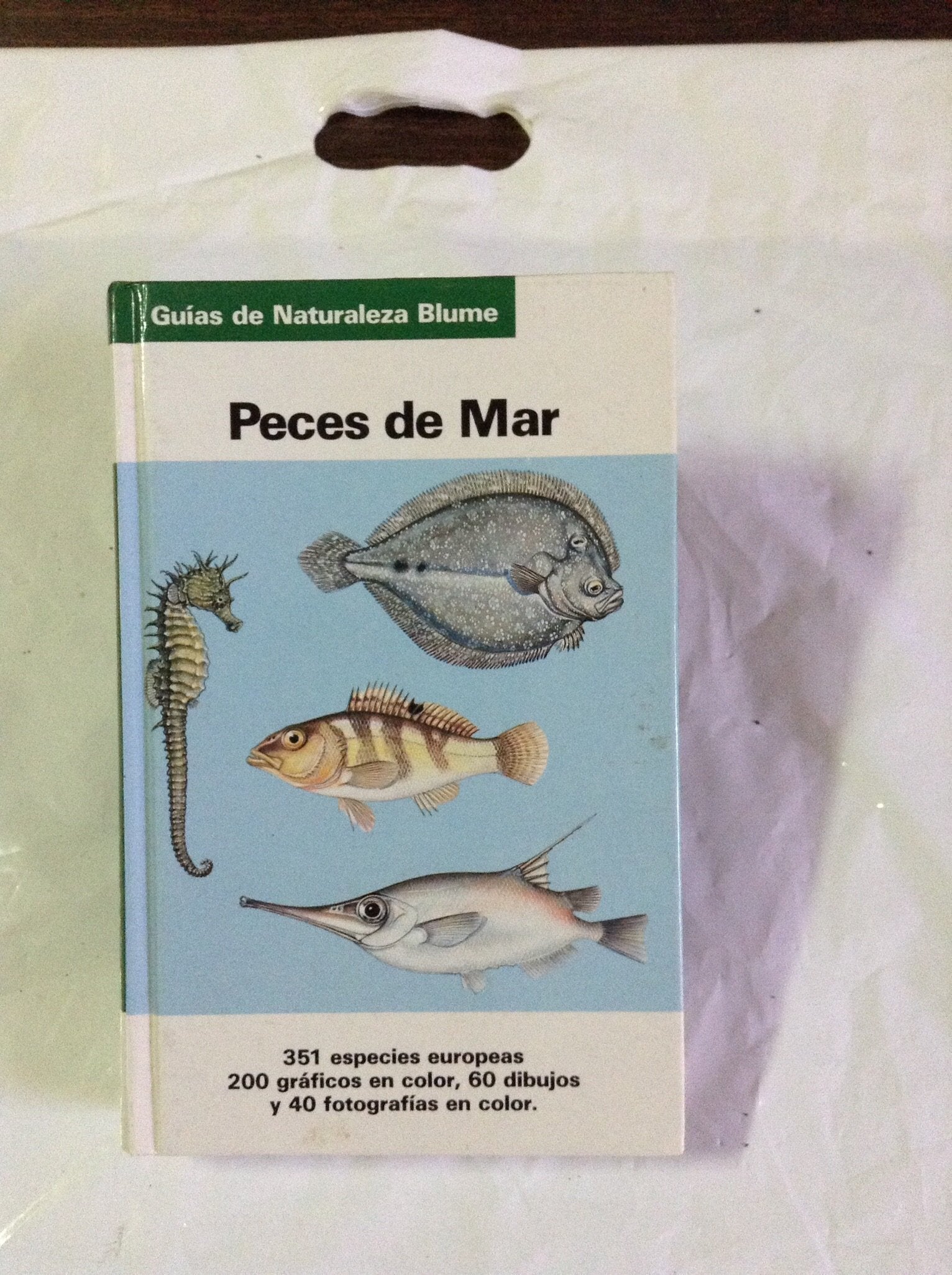 Peces Del Mar (Guias Naturaleza Blume)
