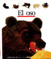 El oso: 9 (Mundo maravilloso)