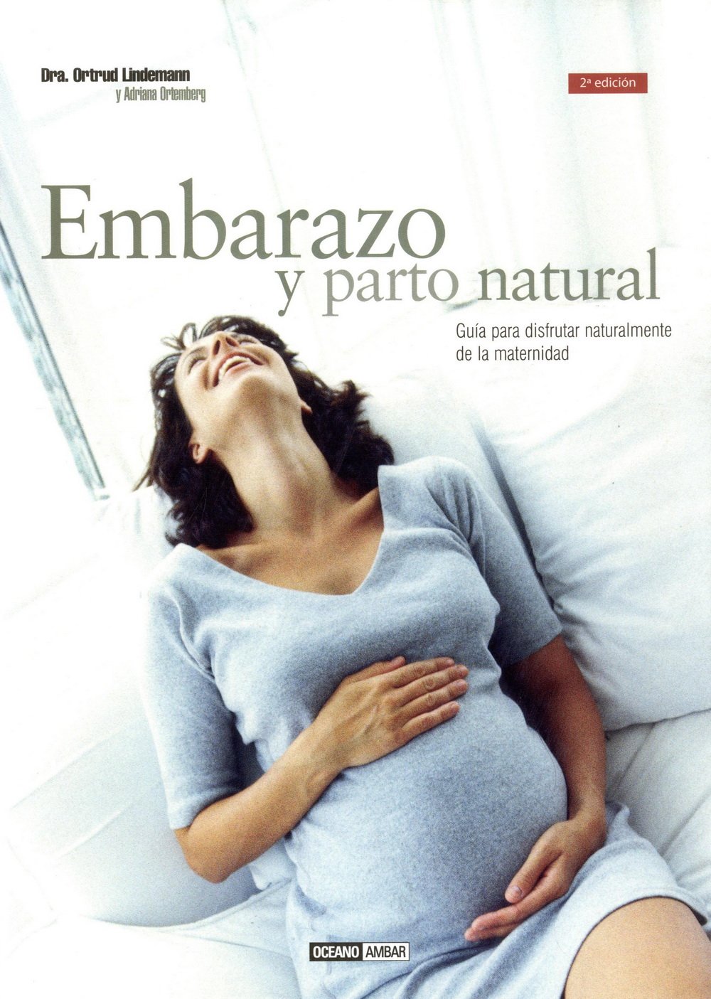 Embarazo Y Parto Natural / Pregnancy And Natural Birth: Guia Practica Para Disfurtar Naturalmente De La Maternidad