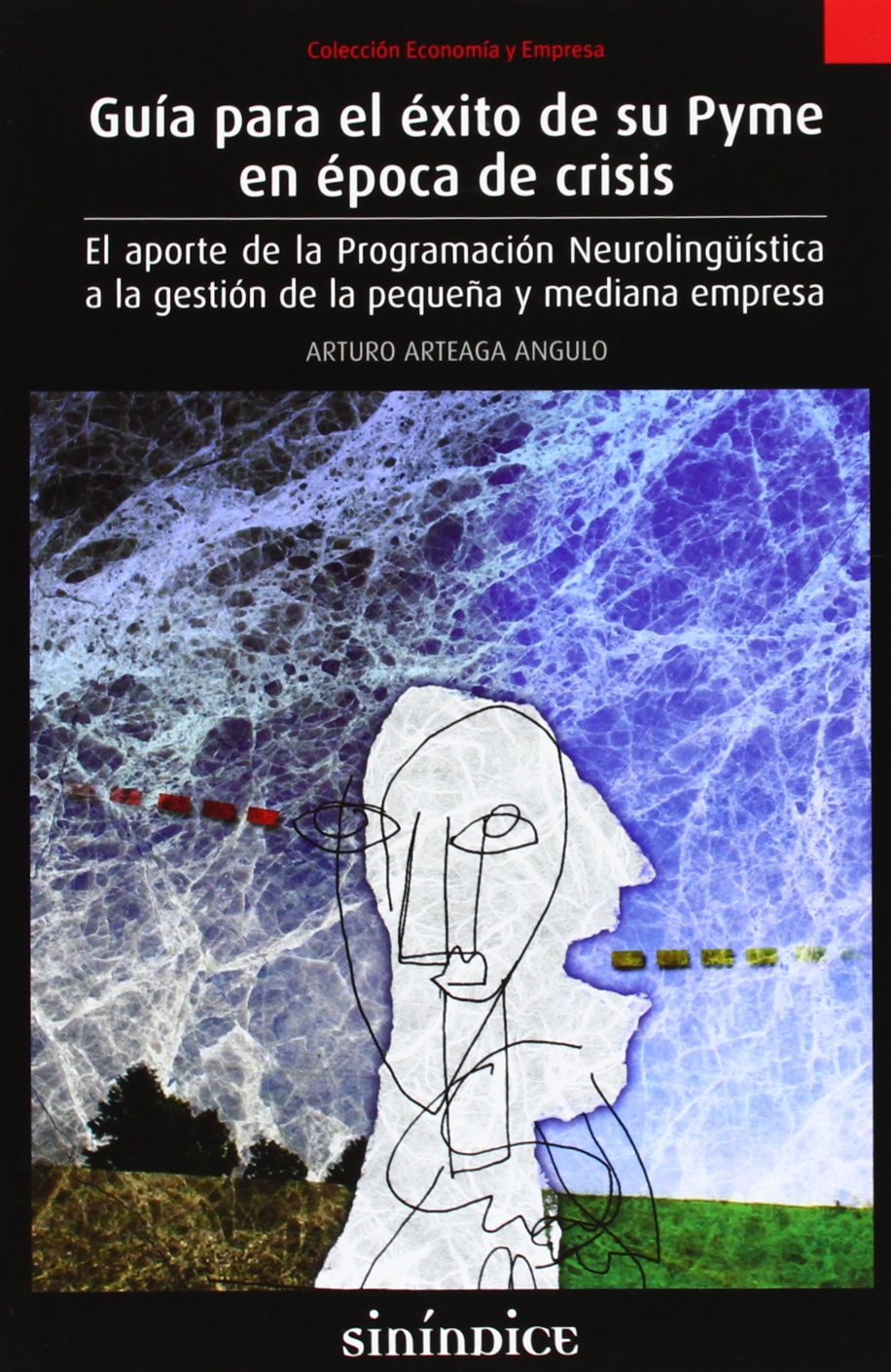 Guía para El Éxito De Su Pyme En Época De Crisis (SIN COLECCION)