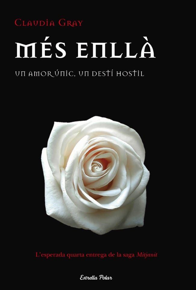 Més enllà: Un amor únic, un destí hostil (L' illa del temps)