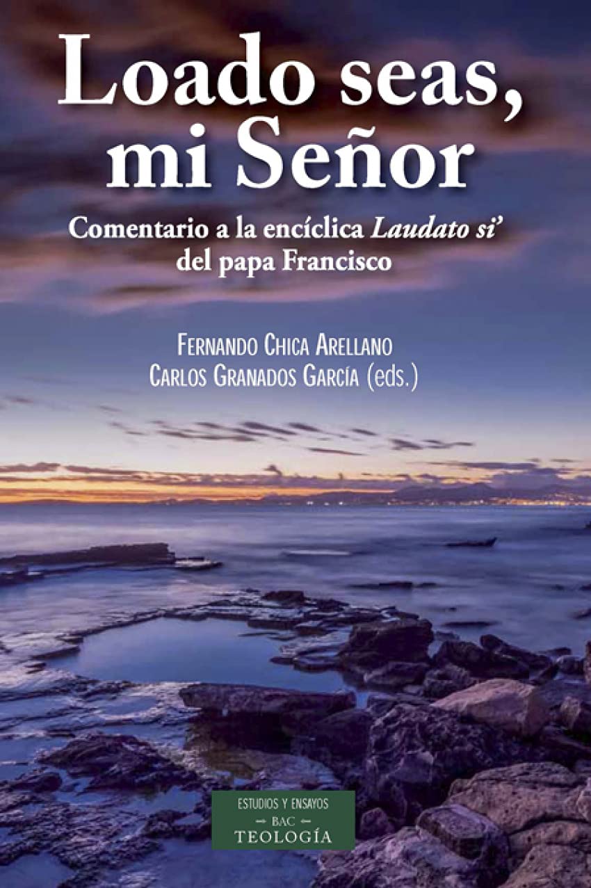 Loado seas mi Señor: Comentario a la encíclica «Laudato si?» del papa Francisco: 187 (ESTUDIOS Y ENSAYOS)