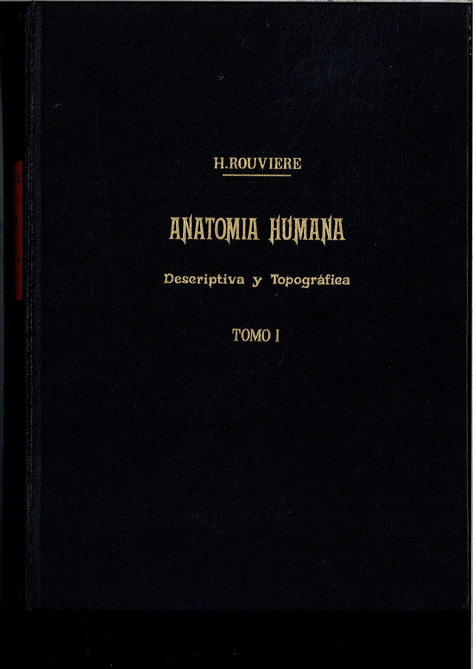 Anatomia humana, tomo I