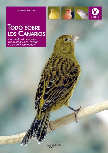 Todo sobre los canarios (Animales)
