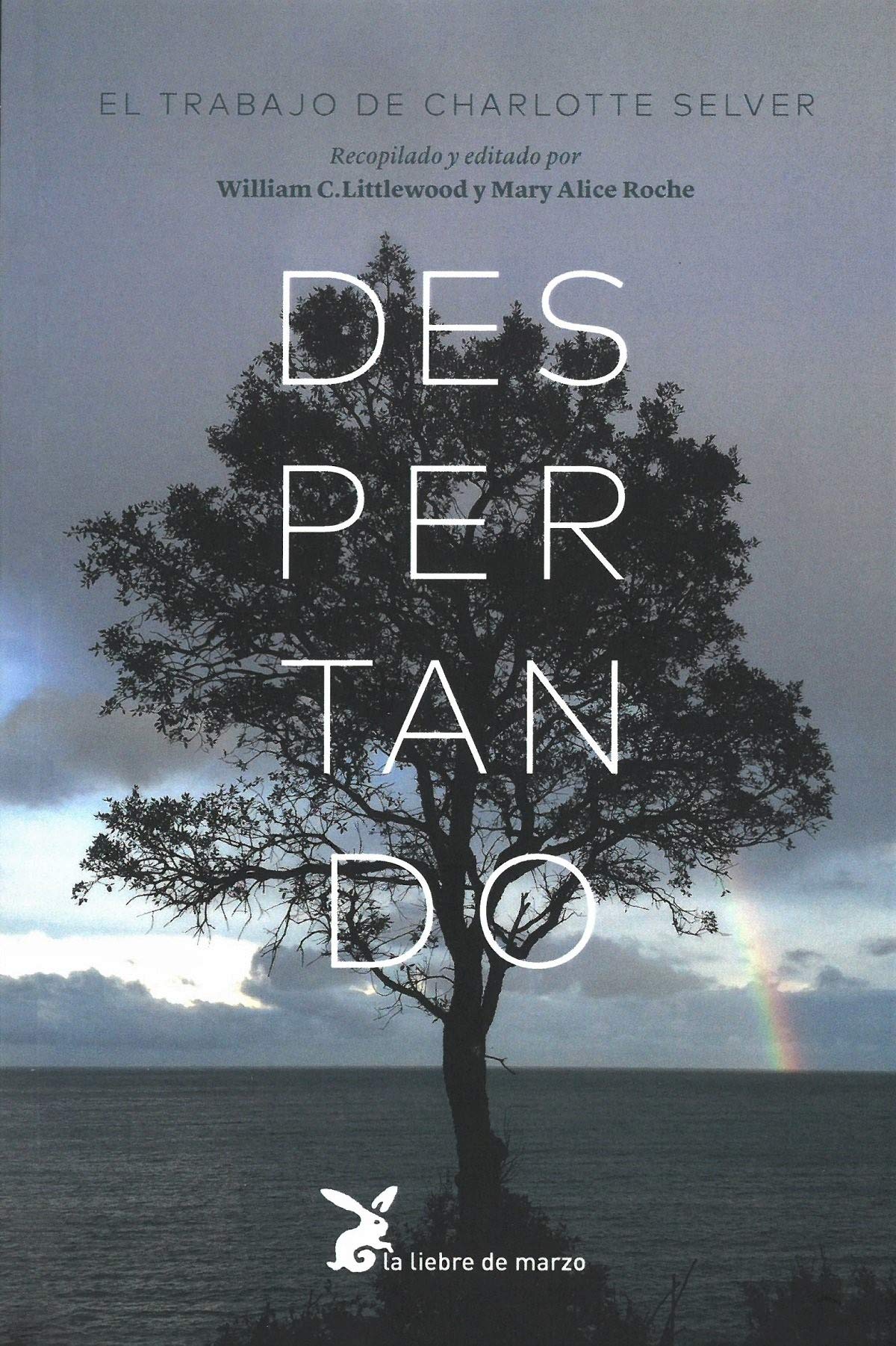 Despertando (CUERPO Y CONSCIENCIA)