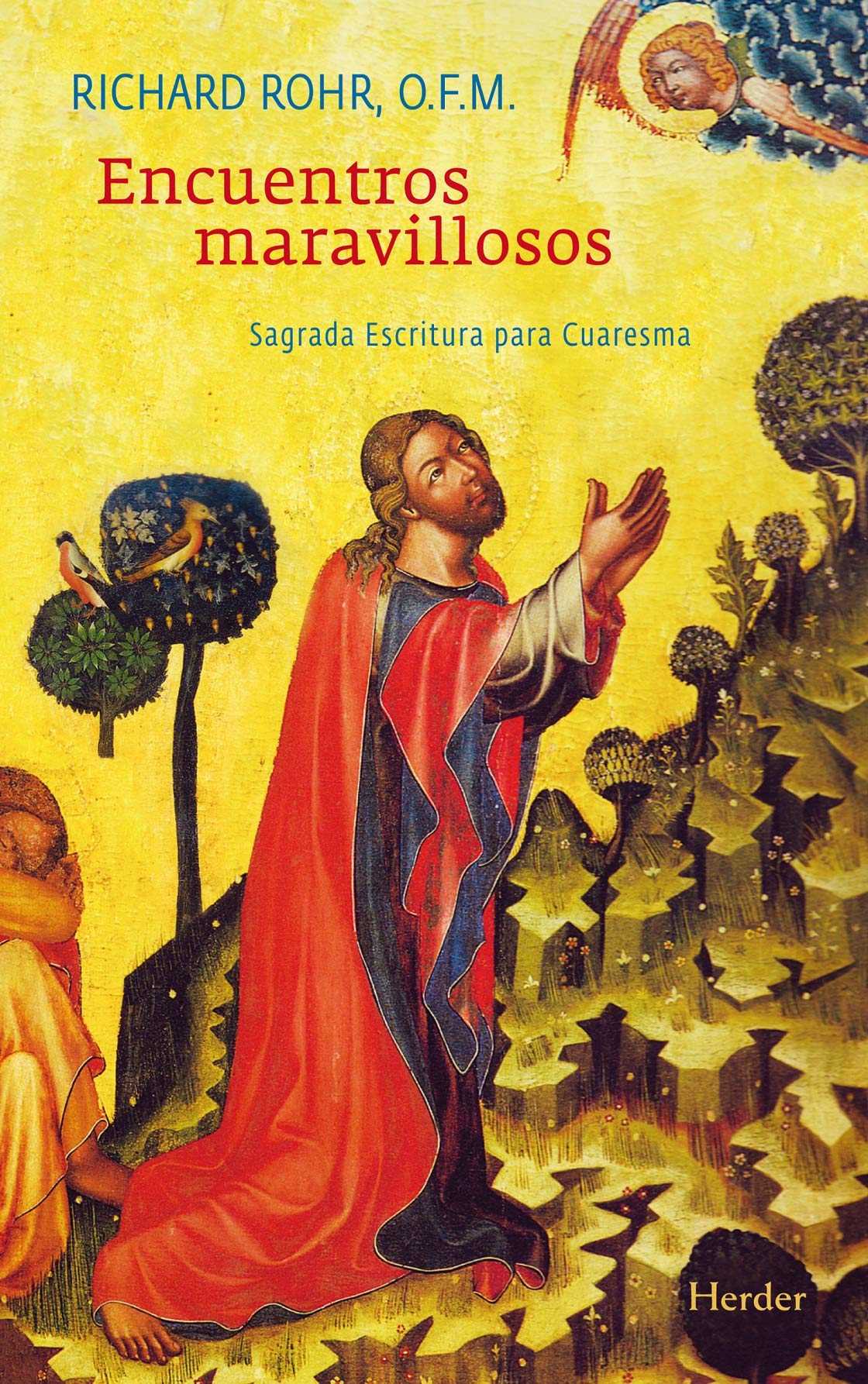 Encuentros maravillosos. Sagrada Escritura para Cuaresma (SIN COLECCION)
