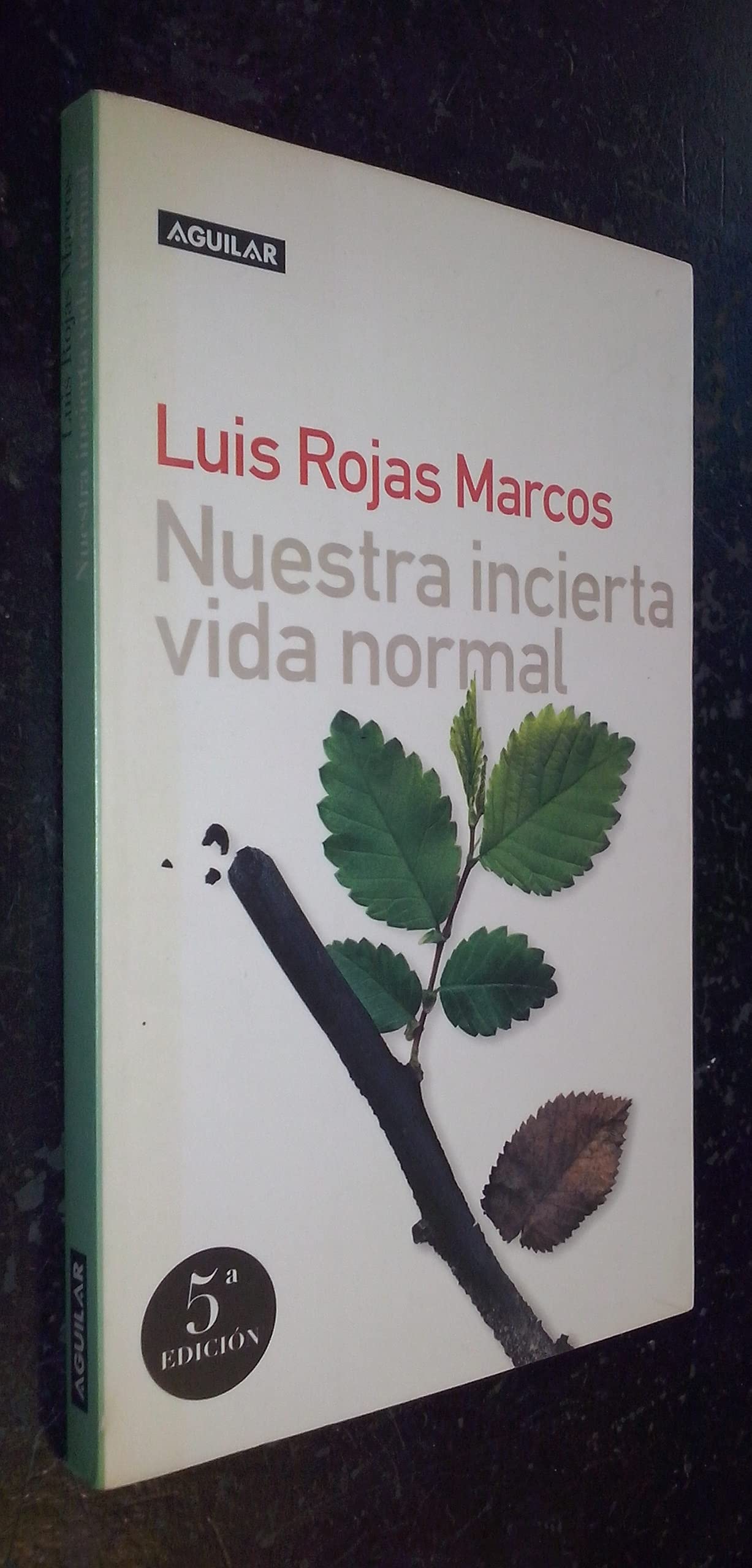 Nuestra incierta vida normal