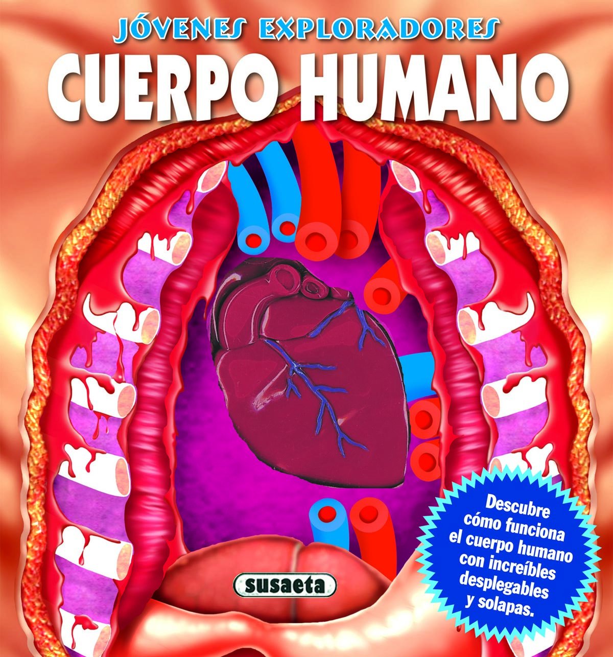 Jóvenes exploradores. Cuerpo humano