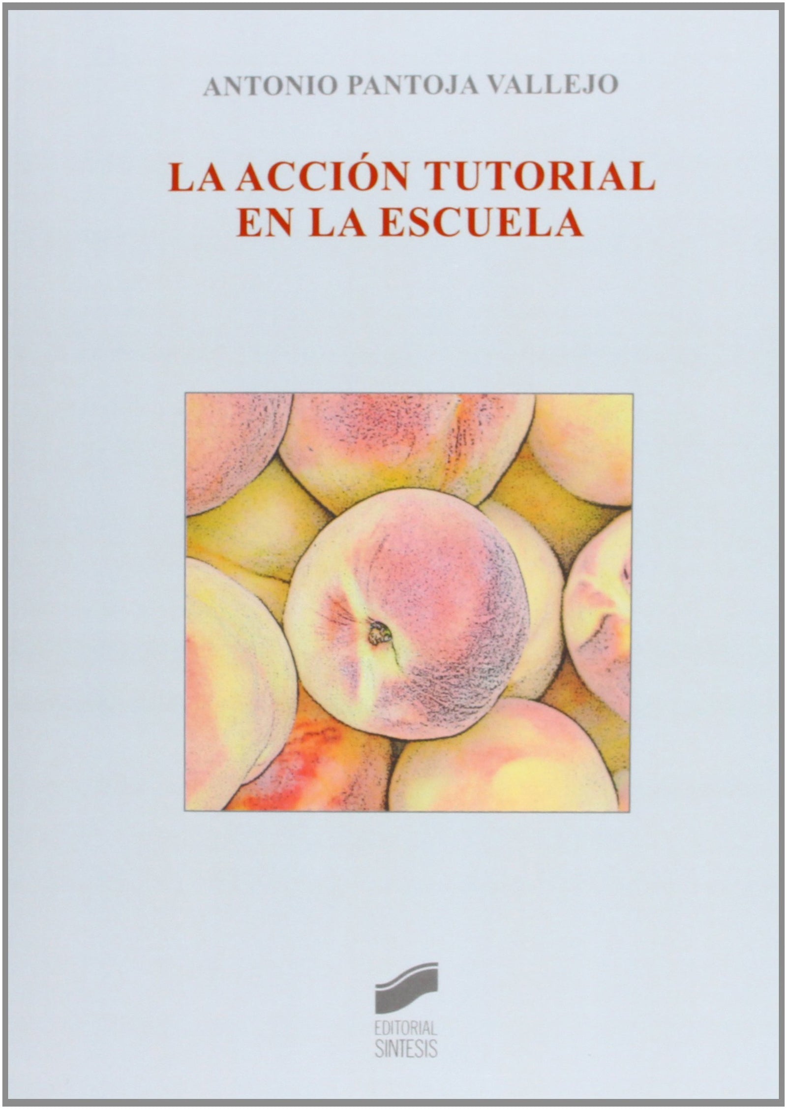 La acción tutorial en la escuela: 17 (Síntesis educación)