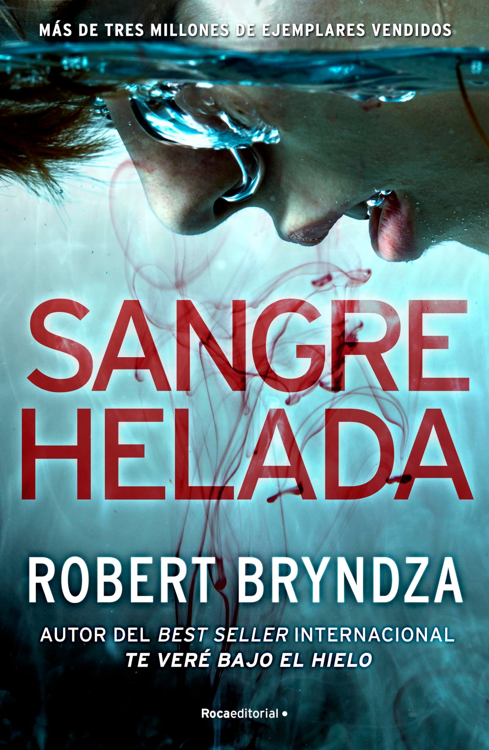 Sangre helada (Serie Erika Foster 5) (Thriller y Suspense)