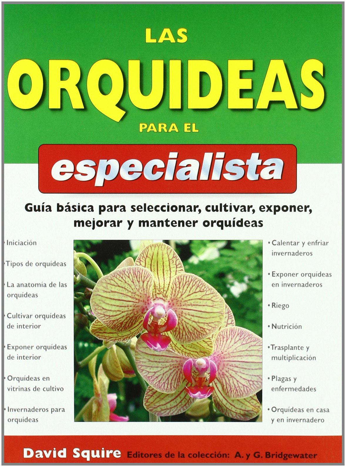 LAS ORQUIDEAS PARA EL ESPECIALISTA (GUÍAS DEL NATURALISTA-ORQUÍDEAS)