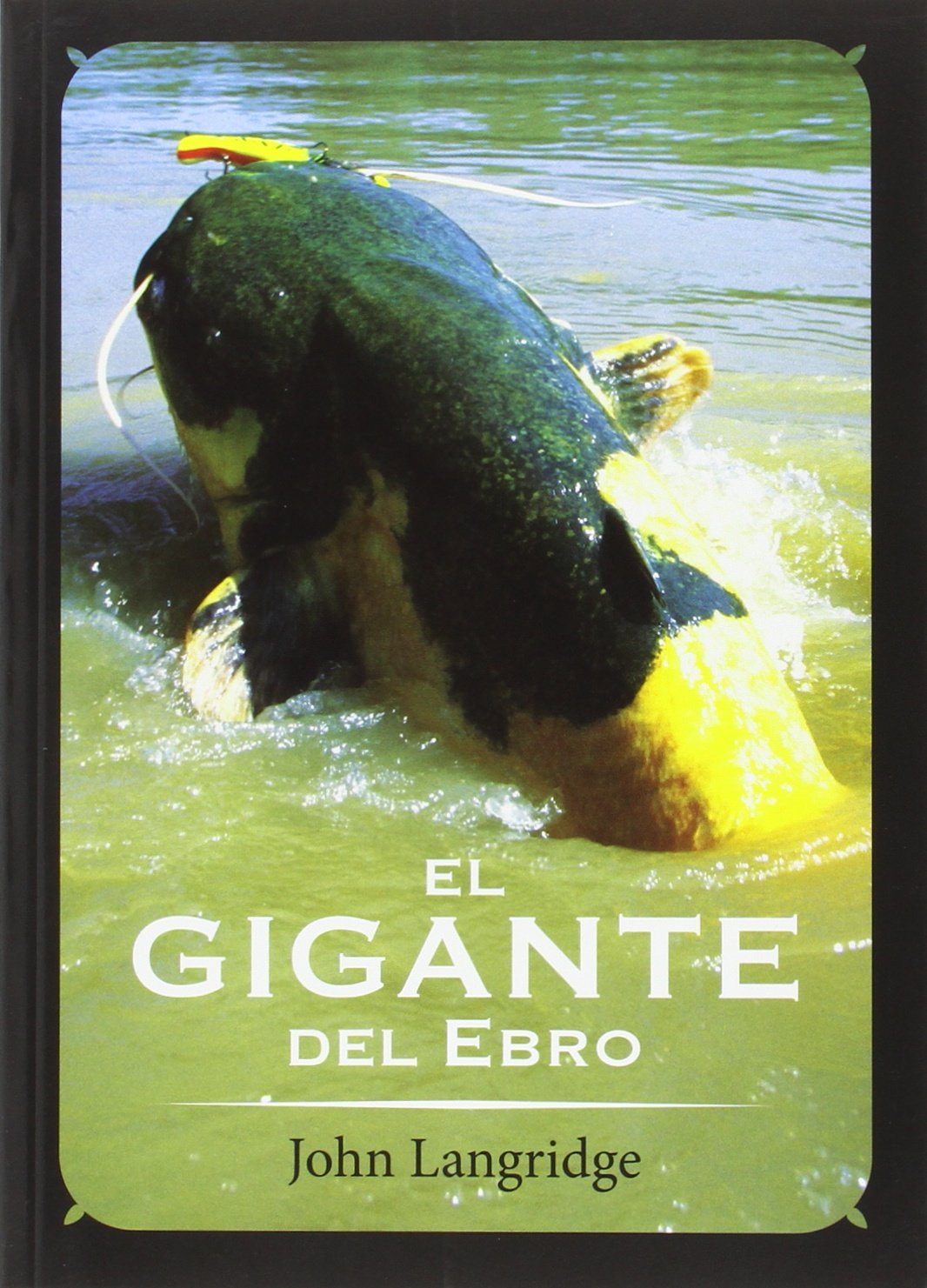 El gigante del Ebro (ENSAYO)