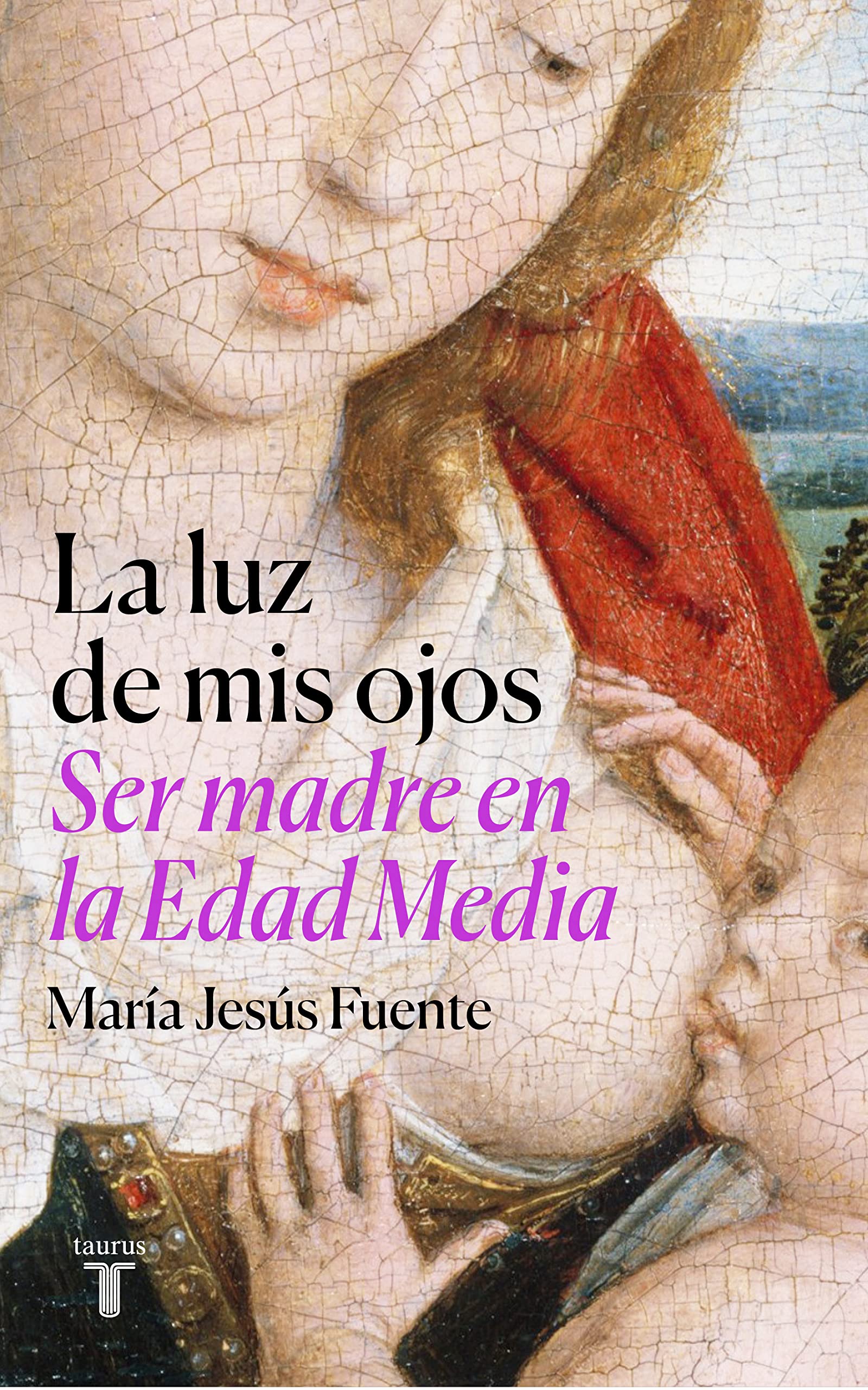 La luz de mis ojos: Ser madre en la Edad Media (Historia)