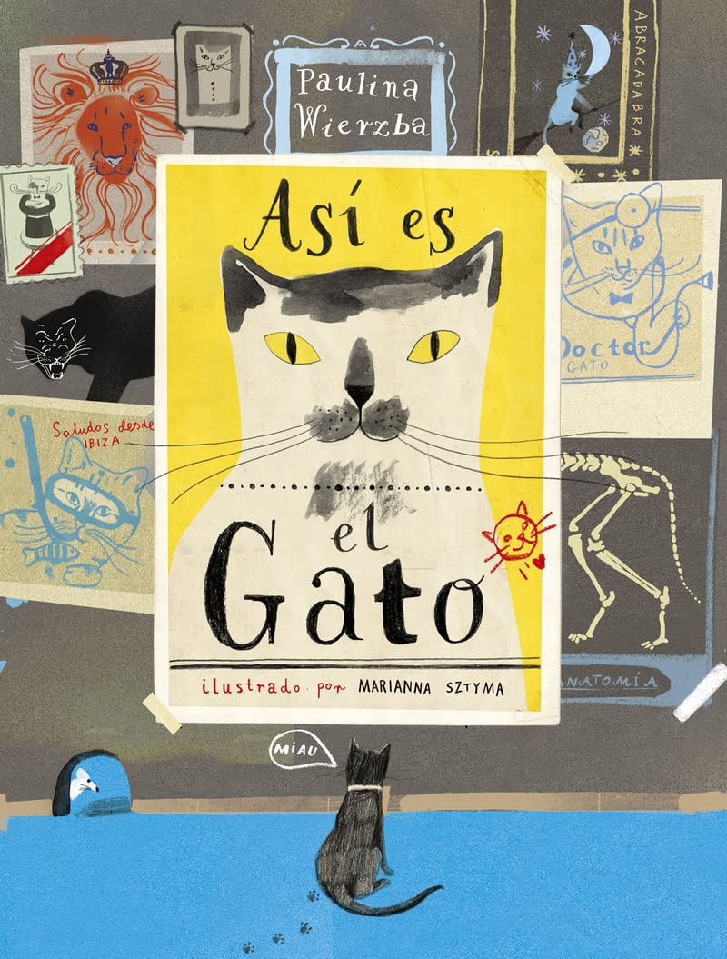 Así es El Gato (Colección Gatos)