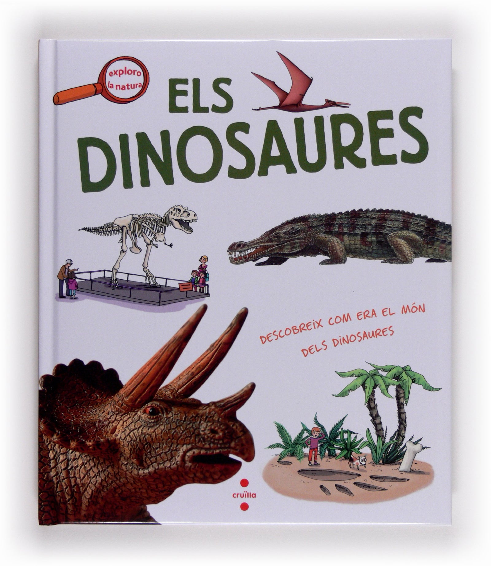 Els dinosaures (Exploro la natura)