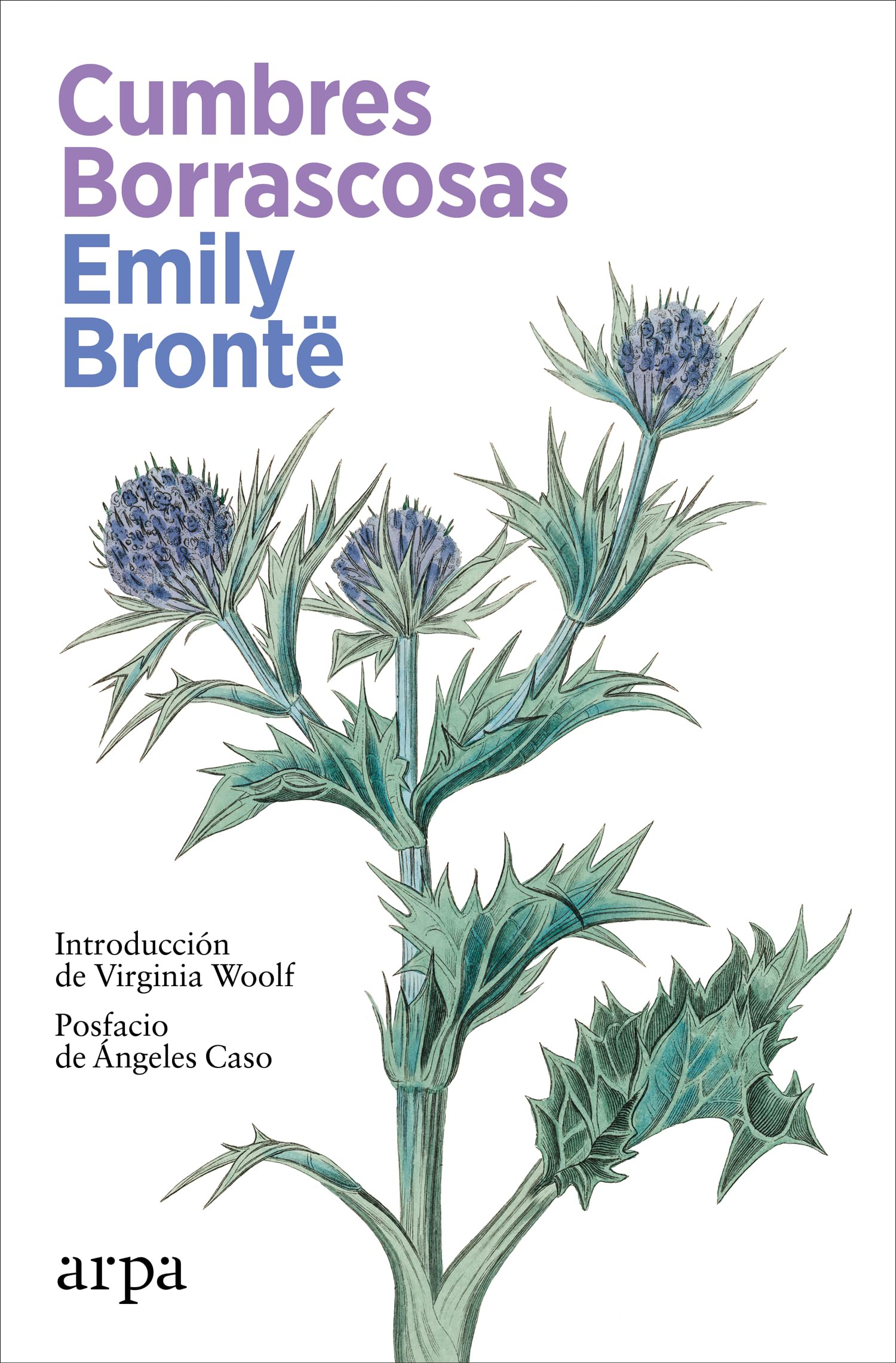 Cumbres Borrascosas (Literatura)