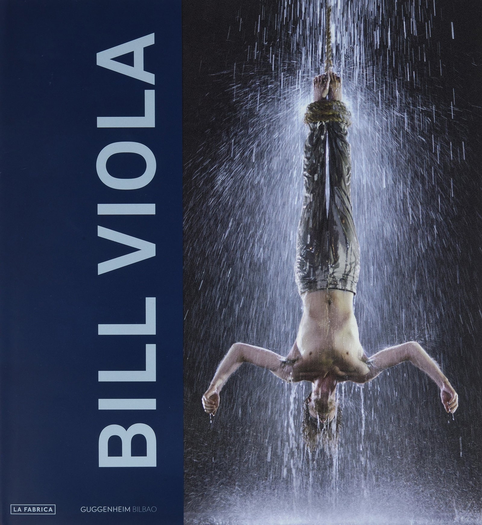 BILL VIOLA (BELLAS ARTES)