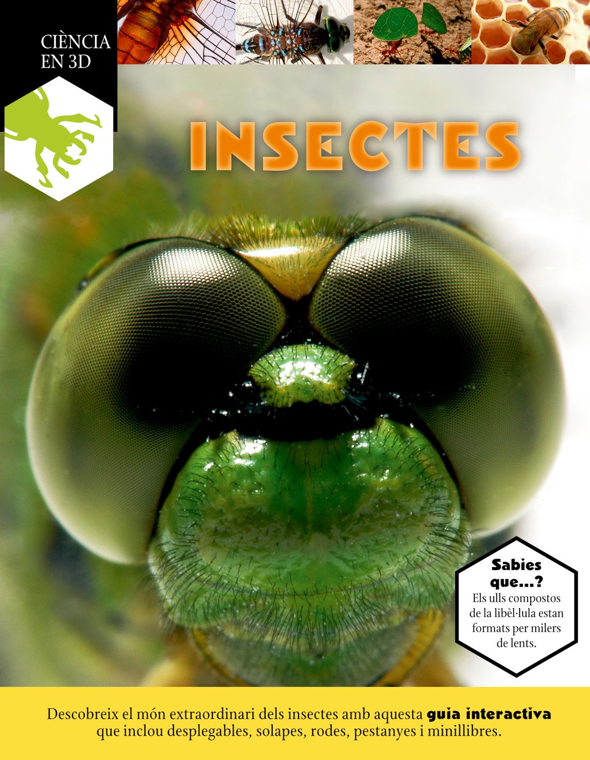 Insectes (CATALAN)