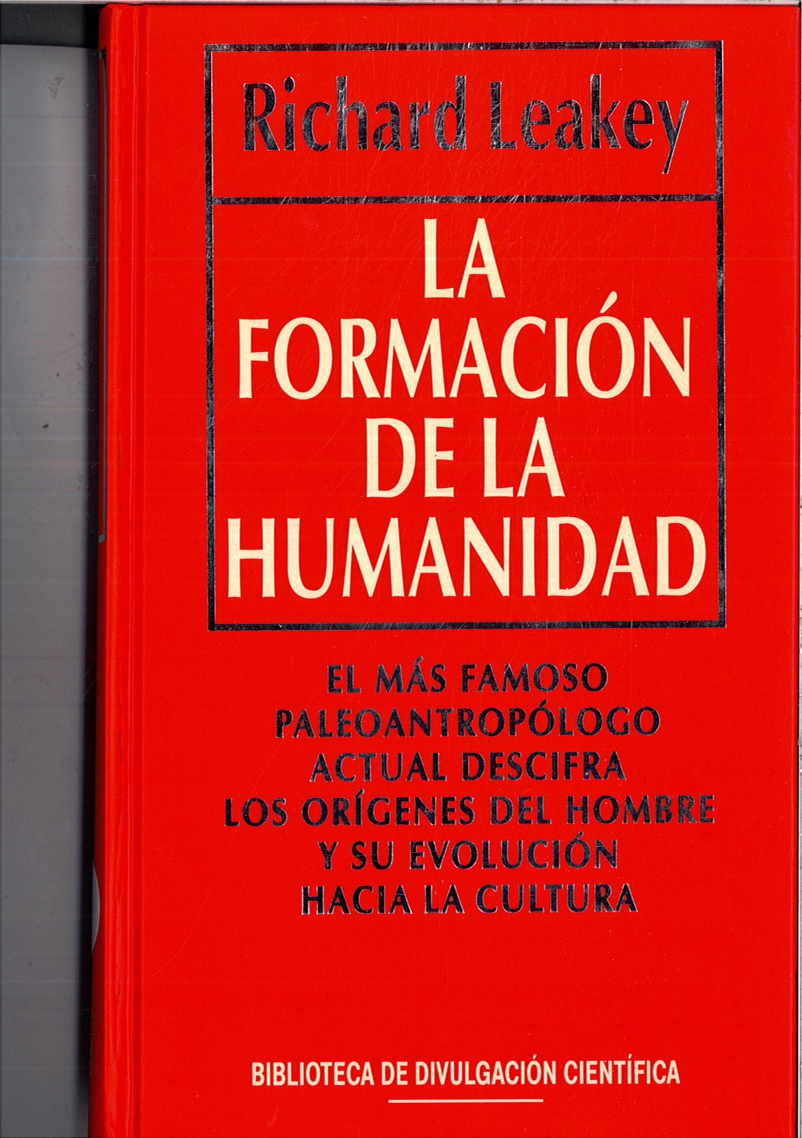 La formacion de la humanidad