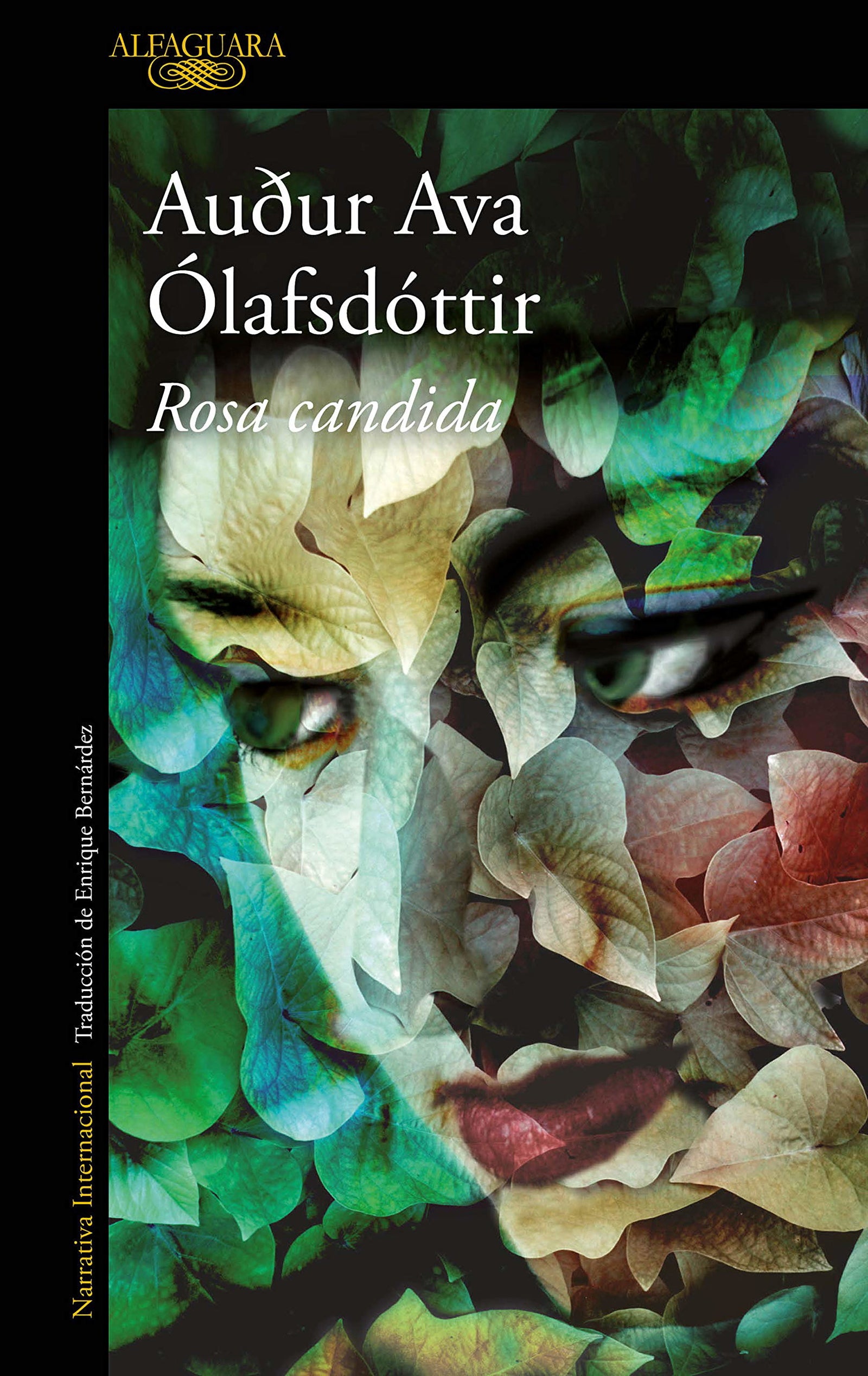Rosa candida (Literaturas)