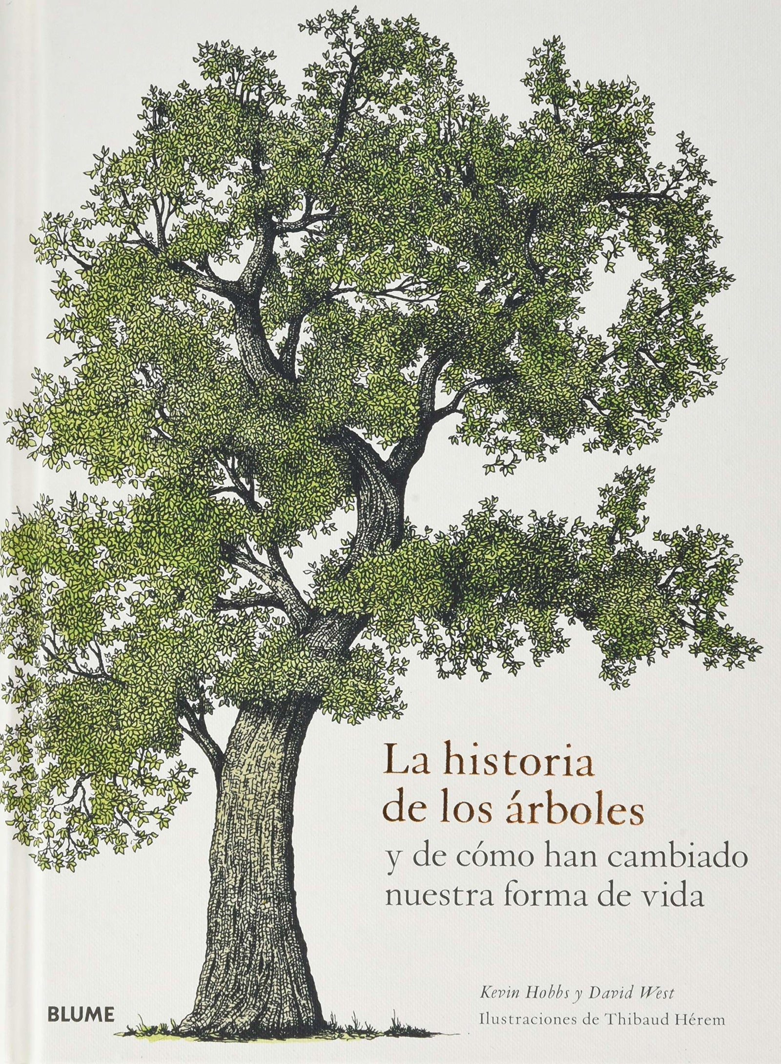 La Historia De Los Árboles y De Cómo han cambiado Nuestra Forma De Vida (ARTE POPULAR)