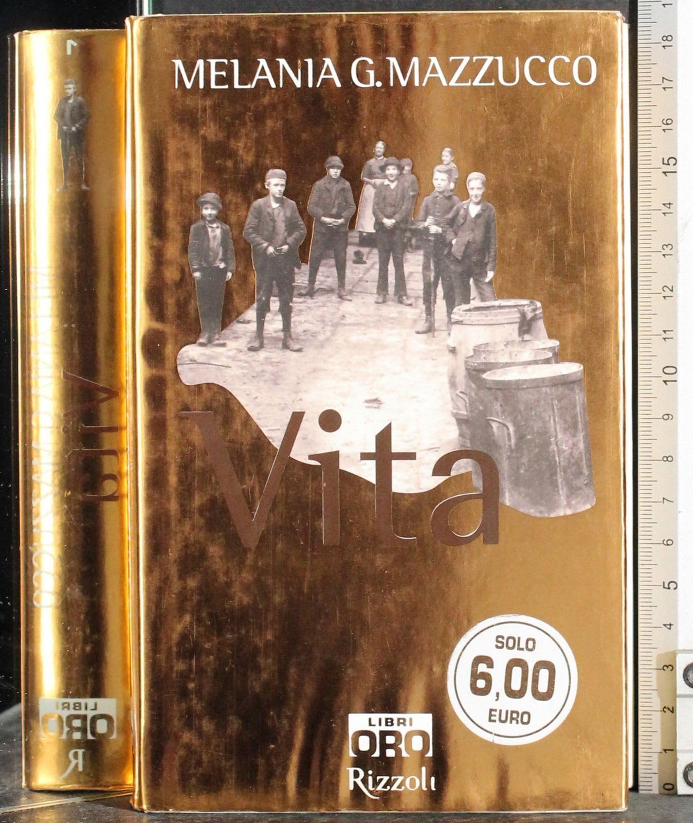 Vita (Rizzoli Libri Oro)